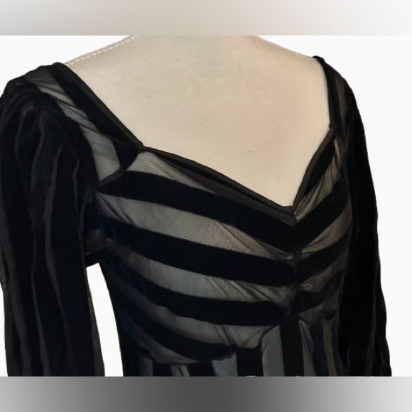 Foxblood Medium Velvet Velour Striped Sheer Gown Peasant Gothic Vintage Maxi - Picture 4 of 16